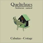 Cabanas Queltehues De Ten Ten