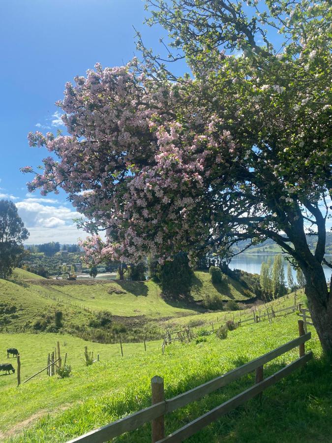 Queltehues De Ten Casa de férias *